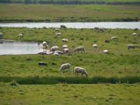 St. Peter-Ording - Tönning - Eidersperrwerk